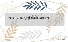 预报:农历12月桃花最旺的生肖