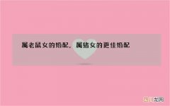 属老鼠女的婚配，属猪女的更佳婚配