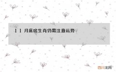 11月底啥生肖仍需注意运势