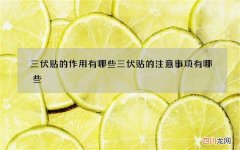 三伏贴的作用有哪些 三伏贴的注意事项有哪些