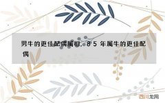 男牛的更佳配偶属相，85年属牛的更佳配偶