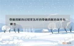 骨髓捐献的过程是怎样的 骨髓捐献的条件有哪些