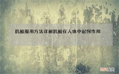 肌酸服用方法详解 肌酸在人体中起何作用