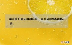 属老鼠和属兔的相配吗，鼠与兔的婚姻相配吗