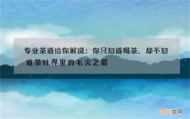 专业茶道给你解说：你只知道喝茶，却不知道茶叶界里的毛尖之最