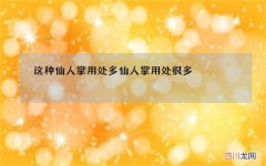 这种仙人掌用处多 仙人掌用处很多