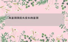 来鉴别别皮衣 皮衣的鉴别