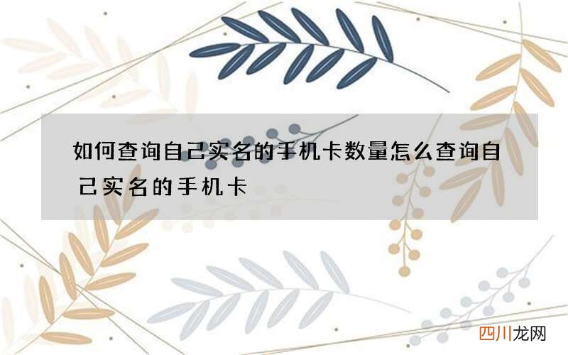 如何查询自己实名的手机卡数量 怎么查询自己实名的手机卡