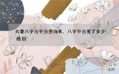 夫妻八字合不合查询表，八字不合害了多少情侣