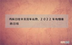 丙辰日柱辛丑流年运势，2022年有姻缘的日柱