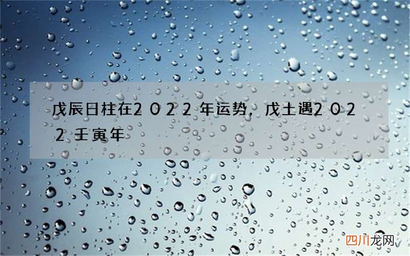 戊辰日柱在2022年运势，戊土遇2022壬寅年