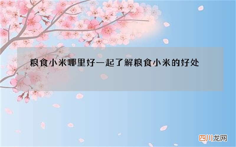 粮食小米哪里好 一起了解粮食小米的好处