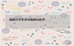 烧碱几乎家家有 烧碱有啥用