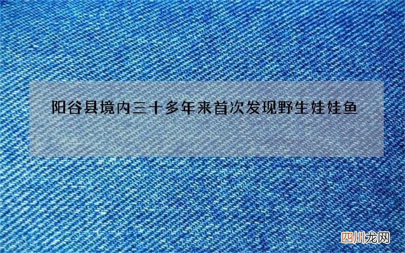 阳谷县境内三十多年来首次发现野生娃娃鱼
