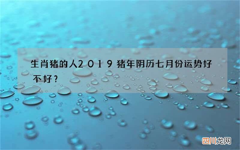 生肖猪的人2019猪年阴历七月份运势好不好？