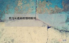 男马女虎的婚姻相配吗，男马女虎婚姻怎么样