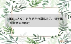 属蛇人2019年猪年分别几岁了,明年属蛇爱情运如何？