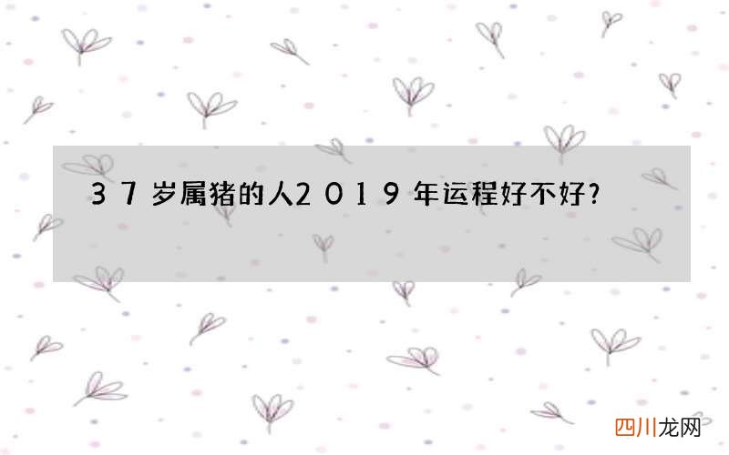 37岁属猪的人2019年运程好不好？