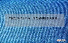 羊鼠怎么样才不克，羊与鼠相害怎么化解