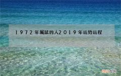 1972年属鼠的人2019年运势运程