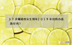37岁属猪的女生明年2019年结婚办喜酒好吗？