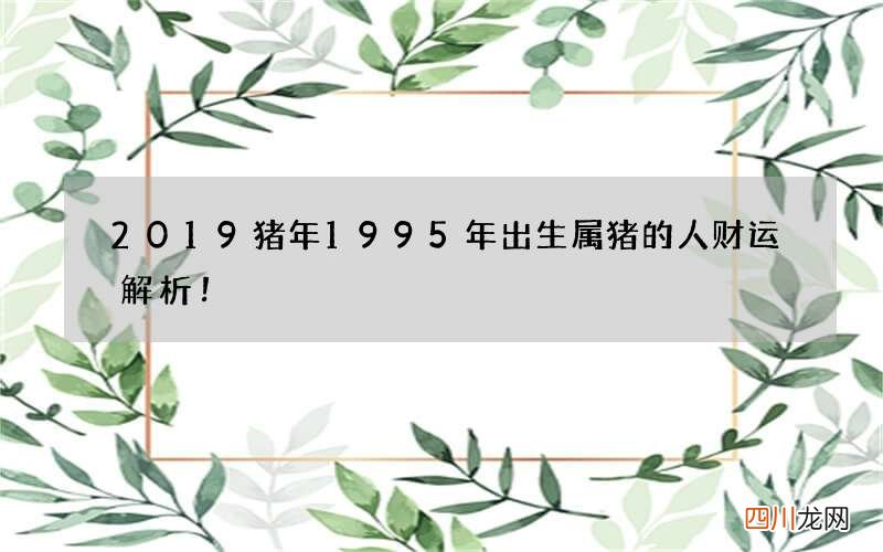 2019猪年1995年出生属猪的人财运解析！