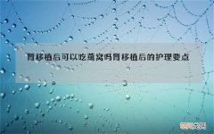 肾移植后可以吃燕窝吗 肾移植后的护理要点