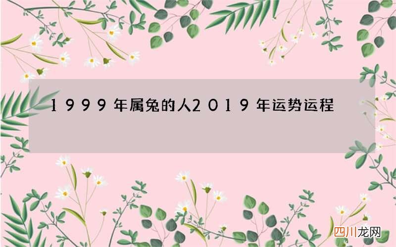 1999年属兔的人2019年运势运程