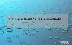 2002年属马的人2019年运势运程