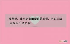 麦熟季，雀鸟到麦田硬吃霸王餐，老农三新招婉拒不请之客