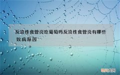 反流性食管炎吃葡萄吗 反流性食管炎有哪些致病原因