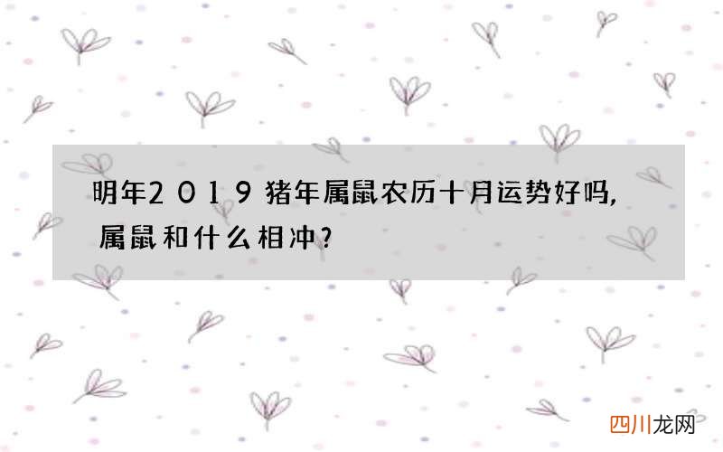 明年2019猪年属鼠农历十月运势好吗,属鼠和什么相冲？