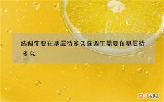 选调生要在基层待多久 选调生需要在基层待多久