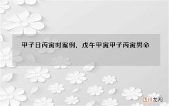 甲子日丙寅时案例，戊午甲寅甲子丙寅男命