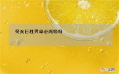 癸亥日柱男命必离婚吗，癸亥日柱男命寿命差吗