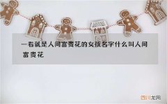 一看就是人间富贵花的女孩名字 什么叫人间富贵花