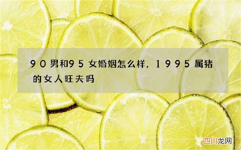 90男和95女婚姻怎么样，1995属猪的女人旺夫吗