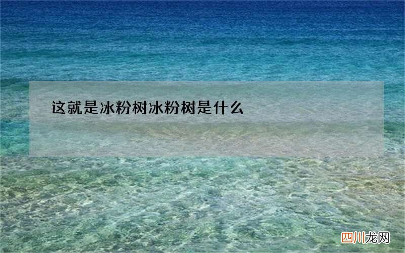 这就是冰粉树 冰粉树是什么