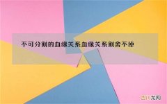 不可分割的血缘关系 血缘关系割舍不掉