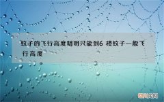 蚊子的飞行高度明明只能到6楼 蚊子一般飞行高度
