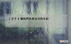 1994属狗男孩更佳结婚年龄，生肖狗94年适合结婚年龄