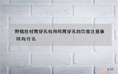 野猪肚对胃穿孔有用吗 胃穿孔的饮食注意事项有什么