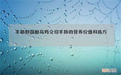 羊肺胆固醇高吗 介绍羊肺的营养价值和选方