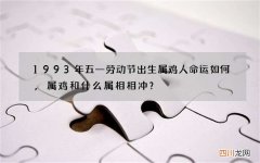 1993年五一劳动节出生属鸡人命运如何,属鸡和什么属相相冲？