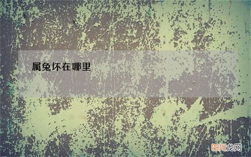 属兔坏在哪里