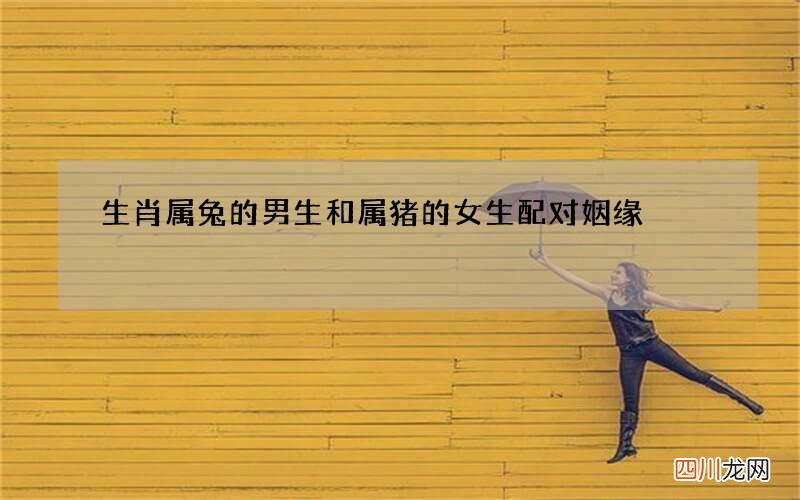 生肖属兔的男生和属猪的女生配对姻缘