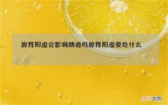 脾肾阳虚会影响肠道吗 脾肾阳虚要吃什么