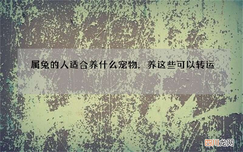 属兔的人适合养什么宠物，养这些可以转运