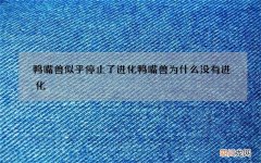 鸭嘴兽似乎停止了进化 鸭嘴兽为什么没有进化