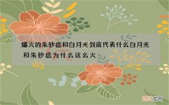 爆火的朱砂痣和白月光到底代表什么 白月光和朱砂痣为什么这么火